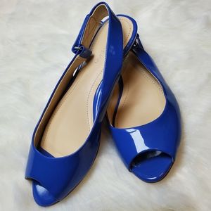 Blue Peep-Toe Slingback Sandals